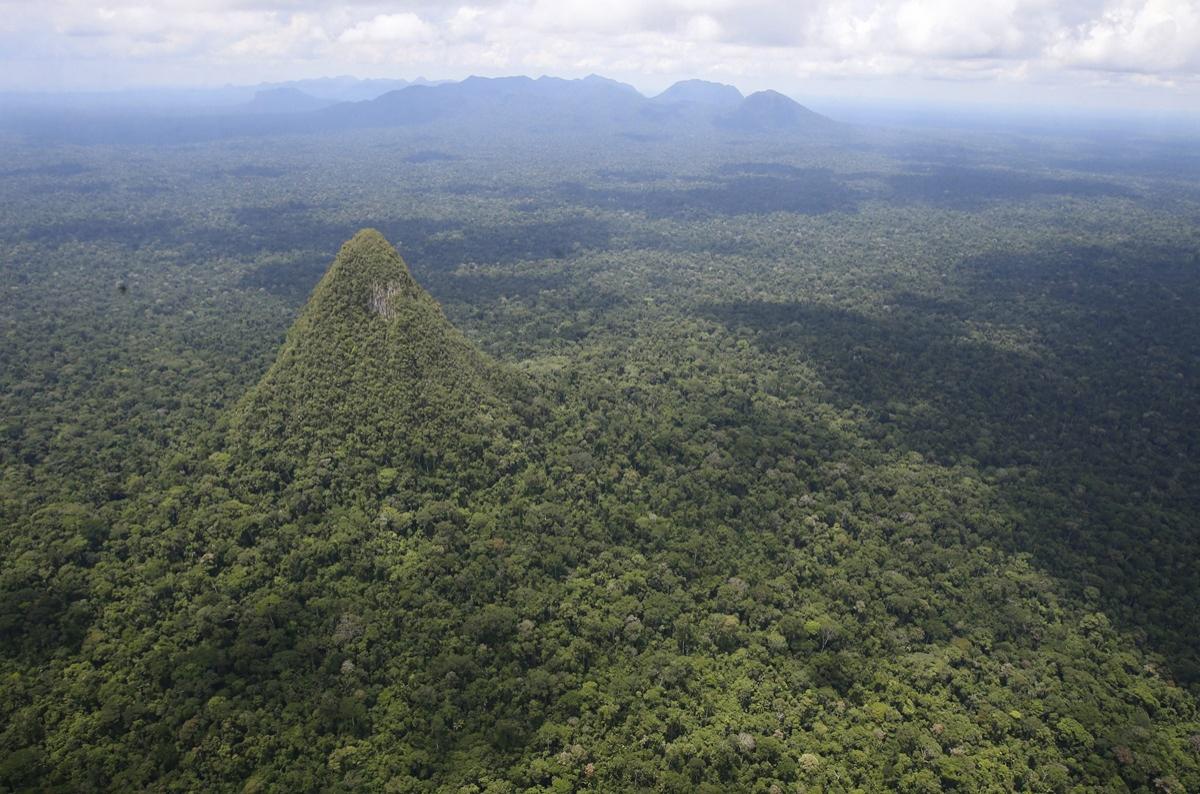 „Piramida” sacră descoperită în Pădurea Amazoniană. Ce secrete s-ar ascunde sub vegetația bogată