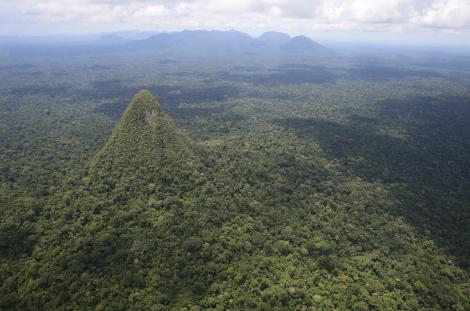 „Piramida” sacră descoperită în Pădurea Amazoniană. Ce secrete s-ar ascunde sub vegetația bogată