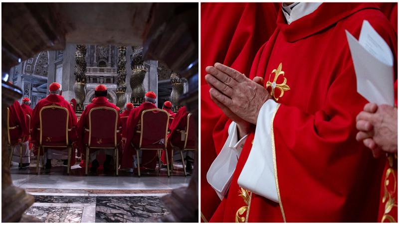 Colaj cu cardinalii la Vatican