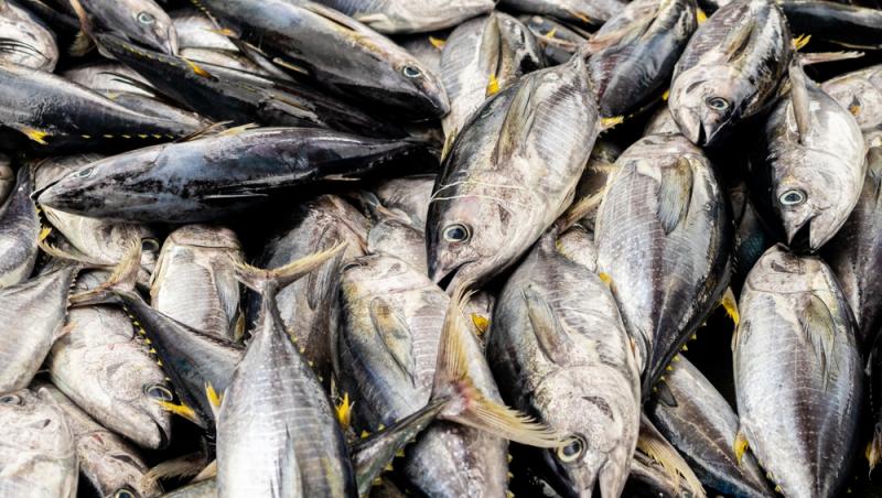 Rețetă de pateu de ton. Prepară o delicatesă chiar la tine acasă