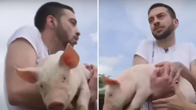 David Pușcaș a dat o probă de angajare la o fermă de porci. Ce a urmat când a dat nas în nas cu purceii. Imagini de pomină