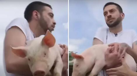 David Pușcaș a dat o probă de angajare la o fermă de porci. Ce a urmat când a dat nas în nas cu purceii. Imagini de pomină