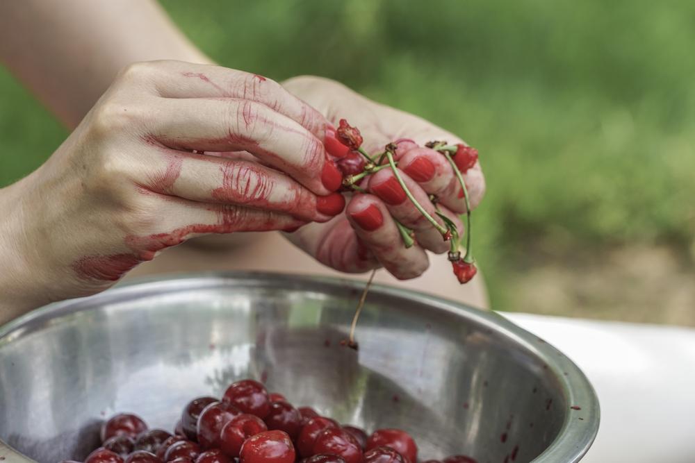 Cu ce scoți s&acirc;mburii de cireșe. Metoda rapidă care să te ajute &icirc;n bucătărie