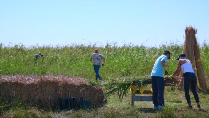 Poftiți pe la noi: Poftiți la întrecere, 10 iunie 2025. Cine a câștigat proba de la plantația de stuf. Spiritele s-au încins!
