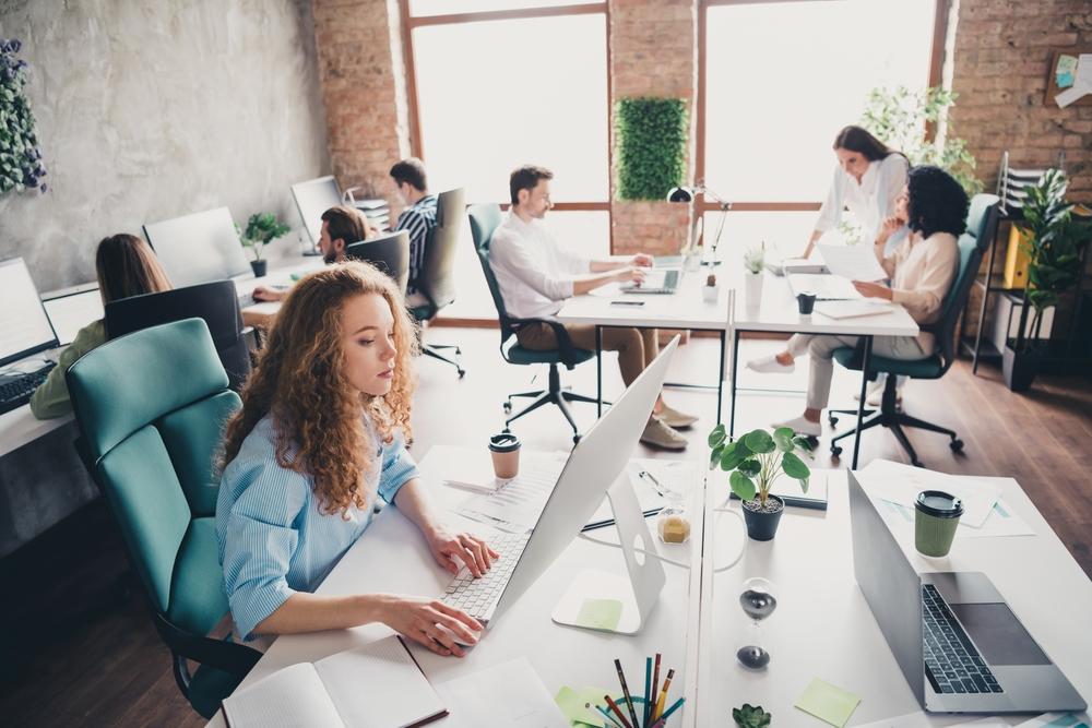 oameni la birouri lucrând