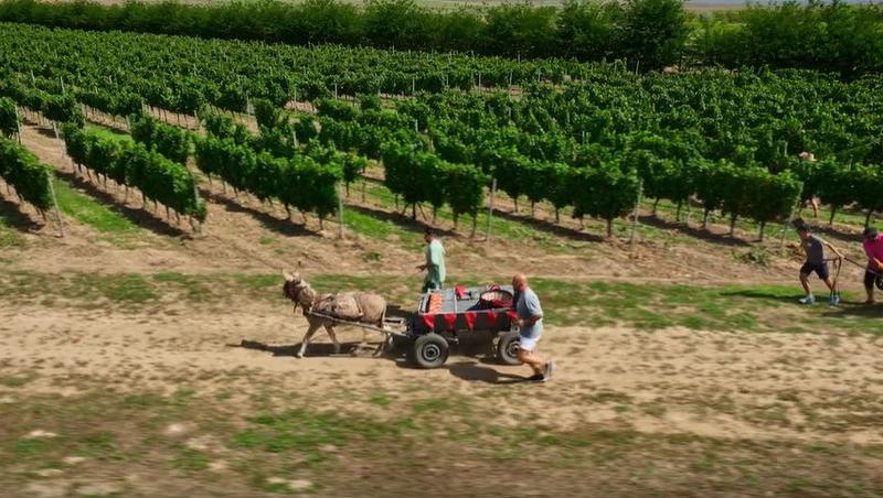 Poftiți pe la noi: Poftiți la întrecere, 11 iunie 2025. Ce echipă de vedete a câștigat etapa. Proba a dezlănțuit haosul