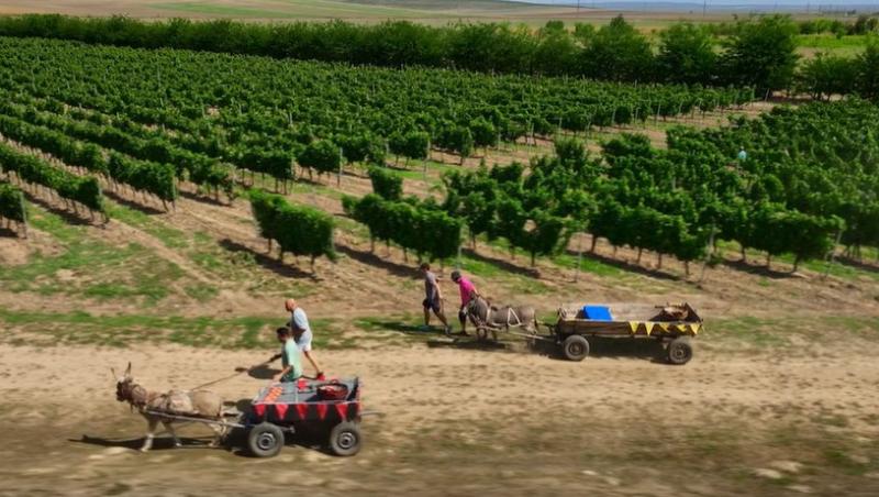 Poftiți pe la noi: Poftiți la întrecere, 11 iunie 2025. Ce echipă de vedete a câștigat etapa. Proba a dezlănțuit haosul