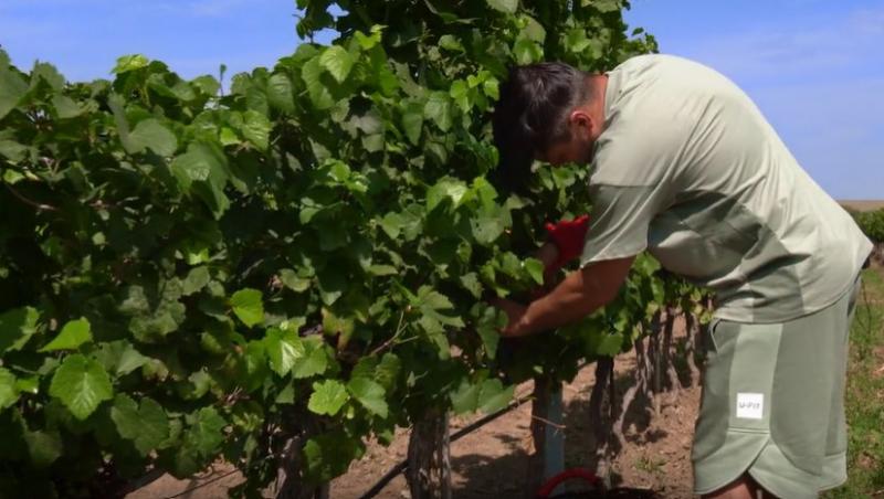 Poftiți pe la noi: Poftiți la întrecere, 11 iunie 2025. Ce echipă de vedete a câștigat etapa. Proba a dezlănțuit haosul