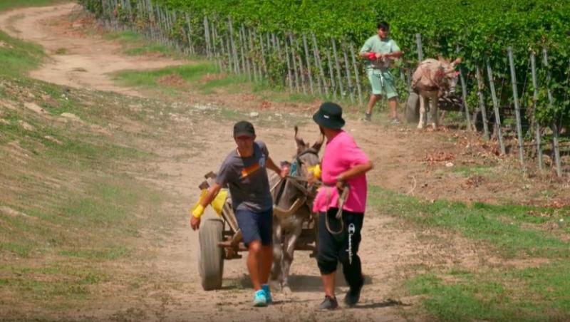 Poftiți pe la noi: Poftiți la întrecere, 11 iunie 2025. Ce echipă de vedete a câștigat etapa. Proba a dezlănțuit haosul