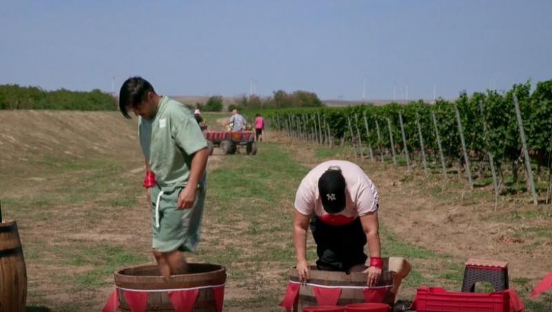 Poftiți pe la noi: Poftiți la întrecere, 11 iunie 2025. Ce echipă de vedete a câștigat etapa. Proba a dezlănțuit haosul