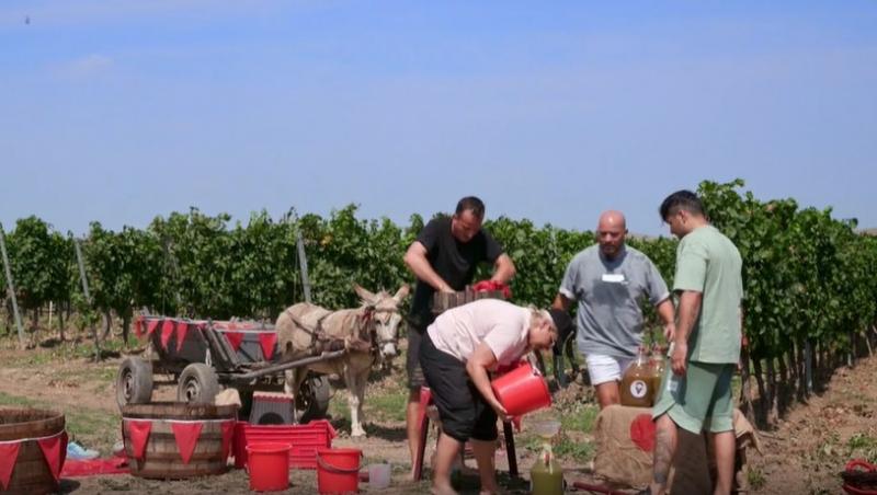 Poftiți pe la noi: Poftiți la întrecere, 11 iunie 2025. Ce echipă de vedete a câștigat etapa. Proba a dezlănțuit haosul