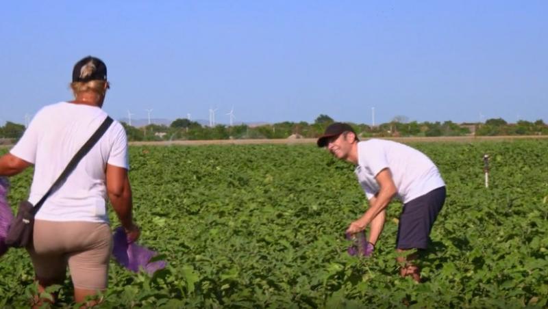 Poftiți pe la noi: Poftiți la întrecere, 11 iunie 2025. Ce echipă de vedete a câștigat etapa. Proba a dezlănțuit haosul