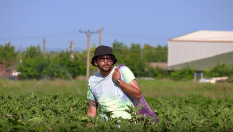 Poftiți pe la noi: Poftiți la întrecere, 11 iunie 2025. Ce echipă de vedete a câștigat etapa. Proba a dezlănțuit haosul