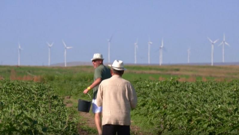 Poftiți pe la noi: Poftiți la întrecere, 11 iunie 2025. Ce echipă de vedete a câștigat etapa. Proba a dezlănțuit haosul