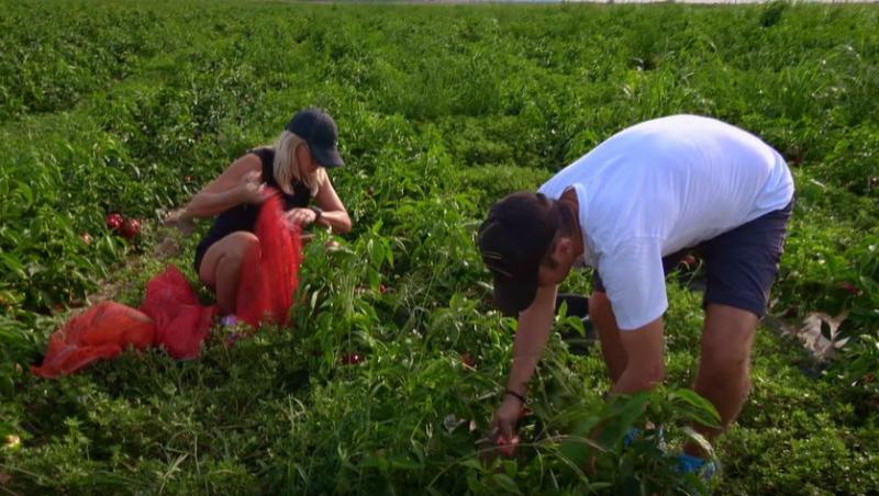 Poftiți pe la noi: Poftiți la întrecere, 11 iunie 2025. Ce echipă de vedete a câștigat etapa. Proba a dezlănțuit haosul