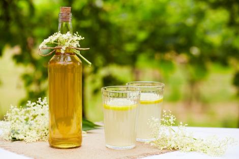 Siropul de soc - rețetă și beneficii. Cum să-l păstrezi pentru iarnă, ca remediu natural împotriva răcelilor