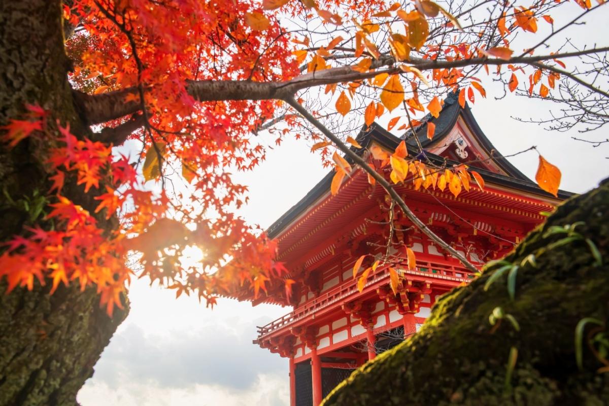 (P) Top 5 locuri de vizitat &icirc;n Japonia: destinații de neuitat pentru călători&nbsp;