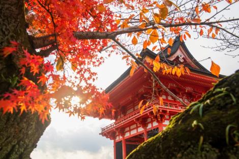(P) Top 5 locuri de vizitat în Japonia: destinații de neuitat pentru călători 