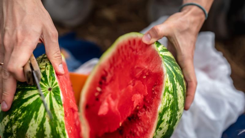 Au apărut pepenii de Dăbuleni pe piață. Cu cât se vinde kilogramul