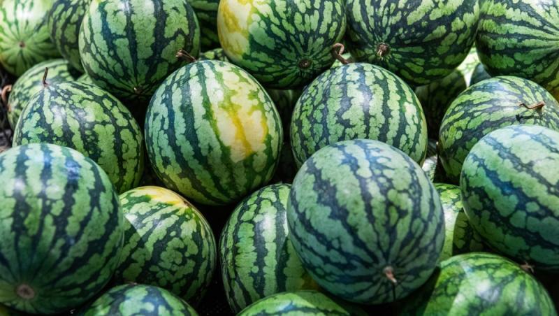Au apărut pepenii de Dăbuleni pe piață. Cu cât se vinde kilogramul