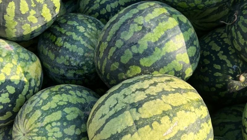Au apărut pepenii de Dăbuleni pe piață. Cu cât se vinde kilogramul