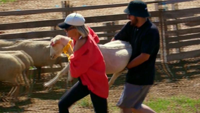 Poftiți pe la noi: Poftiți la întrecere, 16 iunie 2025. Cum s-au descurcat vedetele la proba de muls capre și tuns oi. Ce a urmat