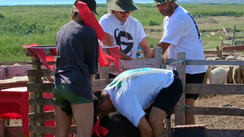 Poftiți pe la noi: Poftiți la întrecere, 16 iunie 2025. Cum s-au descurcat vedetele la proba de muls capre și tuns oi. Ce a urmat