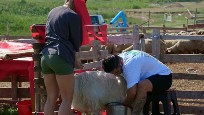 Poftiți pe la noi: Poftiți la întrecere, 16 iunie 2025. Cum s-au descurcat vedetele la proba de muls capre și tuns oi. Ce a urmat