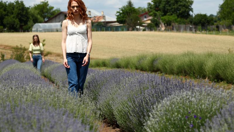 Livada cu Lavandă din Podișor și-a deschis porțile! Când poate fi vizitată locația în care se filmează Iubire cu parfum de lavandă