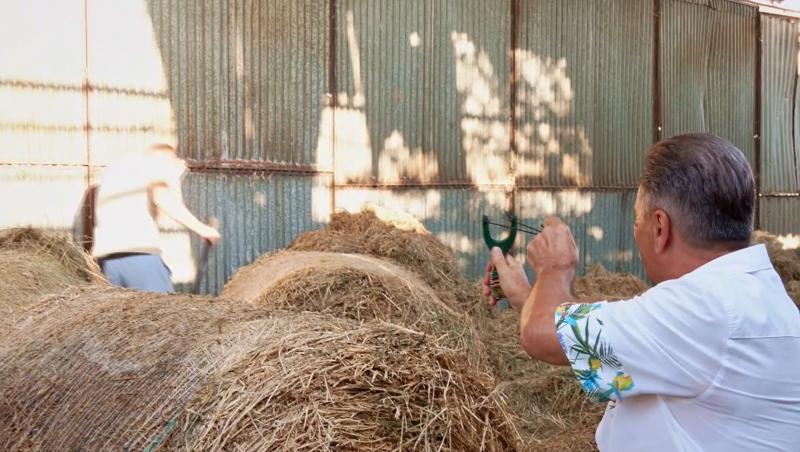 Poftiți pe la noi: Poftiți la întrecere, 17 iunie 2025. Carmen Negoiță și sora ei, Andreea, replici acide. De ce au curs lacrimi