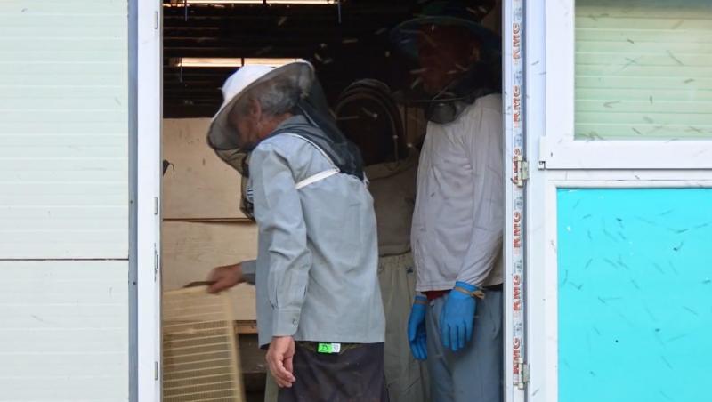 Poftiți pe la noi: Poftiți la întrecere, 17 iunie 2025. Carmen Negoiță și sora ei, Andreea, replici acide. De ce au curs lacrimi