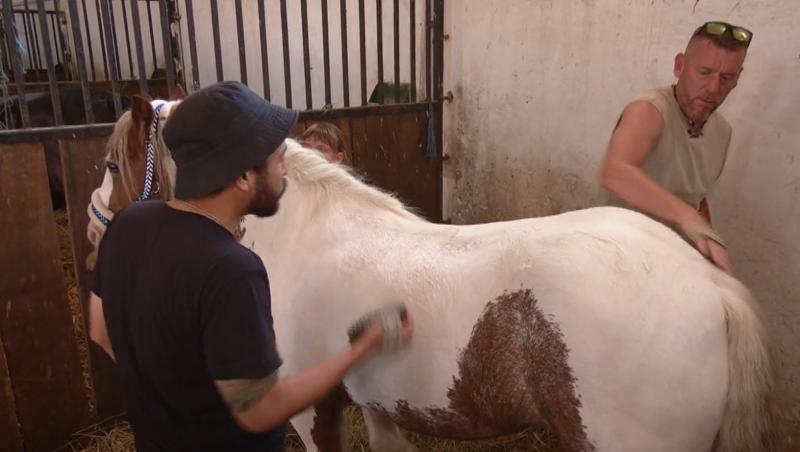 Poftiți pe la noi: Poftiți la întrecere, 17 iunie 2025. Carmen Negoiță și sora ei, Andreea, replici acide. De ce au curs lacrimi