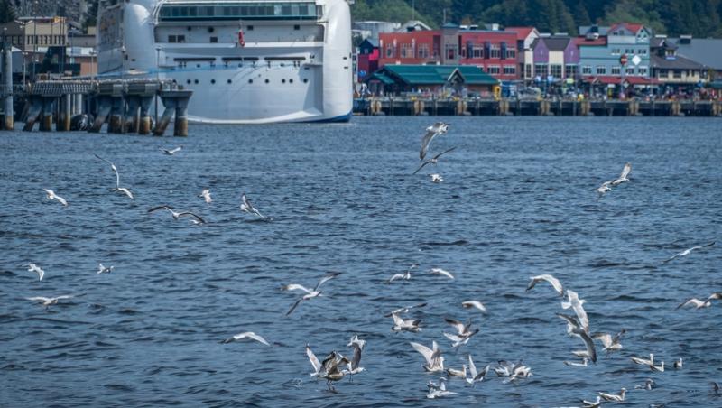 Croazierele, tot mai populare printre români. Cât costă și care sunt cele mai căutate rute în 2025