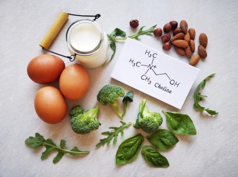 Colina: cel mai bun nutrient pentru creier, vital pentru memorie, învățare și concentrare