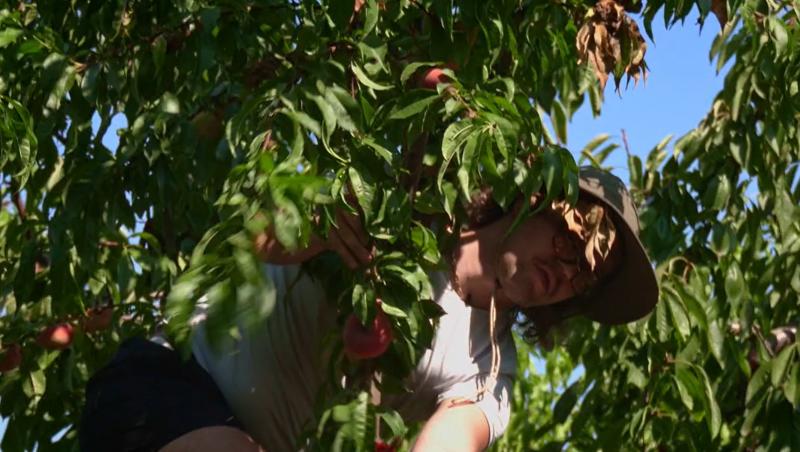 Poftiți pe la noi: Poftiți la întrecere, 18 iunie 2025. Vedetele au organizat o petrecere surpriză pentru nea Marin. Ce a urmat