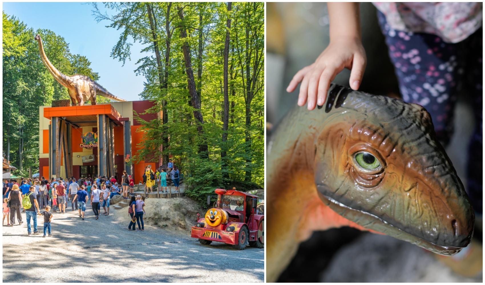 colaj foto cu imagini de la dino parc rasnov