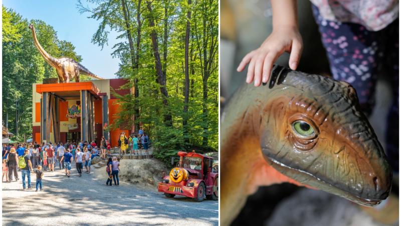 colaj foto cu imagini de la dino parc rasnov