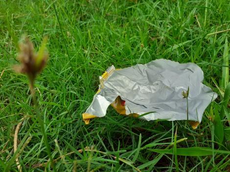 O pungă de pufuleți aruncată pe jos de un turist a pus în pericol un ecosistem întreg. De ce a fost atât de periculoasă