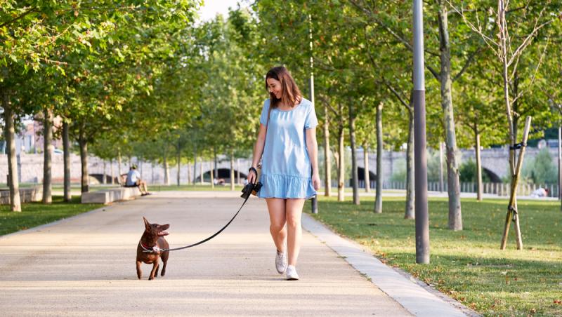 Testul de 7 secunde pe care proprietarii de câini trebuie să îl facă atunci când ies din casă pe caniculă