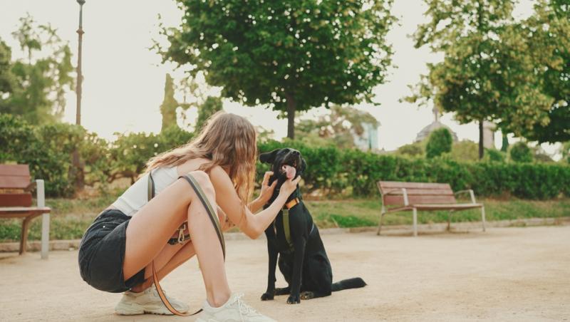imagine cu o fata care se plimba în parc cu cainele