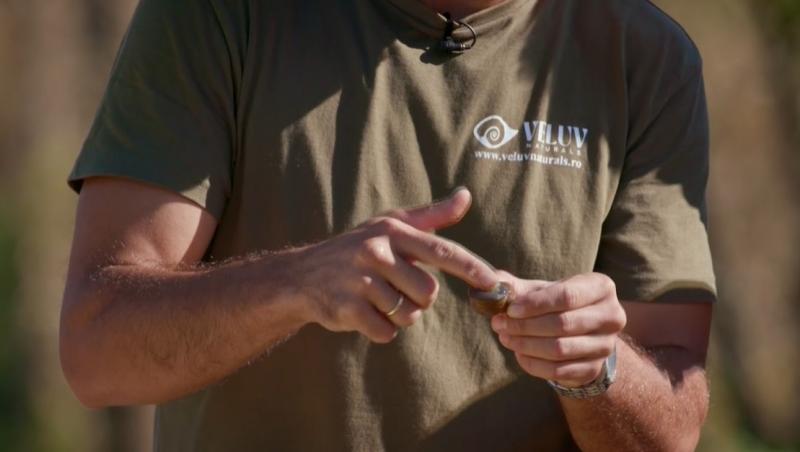 Poftiți pe la noi: Poftiți la întrecere, 24 iunie 2025. Ce echipă de vedete a câștigat proba la ferma de melci. Ce a pățit Rikito