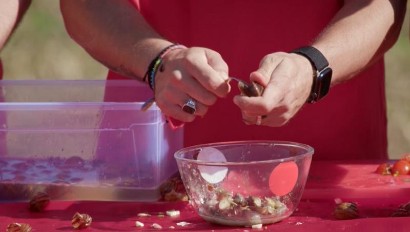 Poftiți pe la noi: Poftiți la întrecere, 24 iunie 2025. Ce echipă de vedete a câștigat proba la ferma de melci. Ce a pățit Rikito