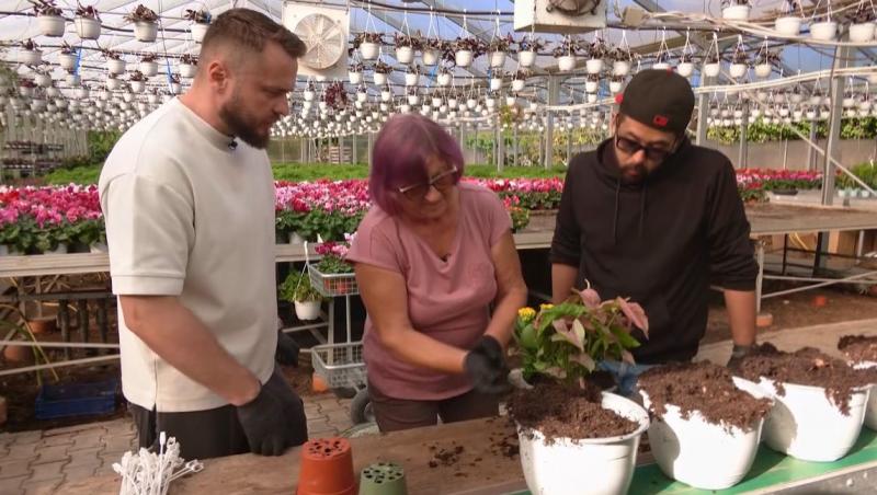 Poftiți pe la noi: Poftiți la întrecere, 24 iunie 2025. Ce echipă de vedete a câștigat proba la ferma de melci. Ce a pățit Rikito