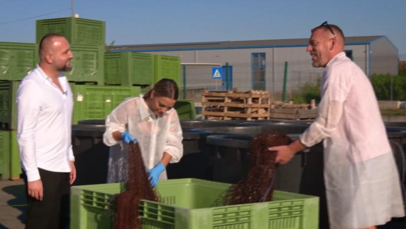 Poftiți pe la noi: Poftiți la întrecere, 24 iunie 2025. Ce echipă de vedete a câștigat proba la ferma de melci. Ce a pățit Rikito