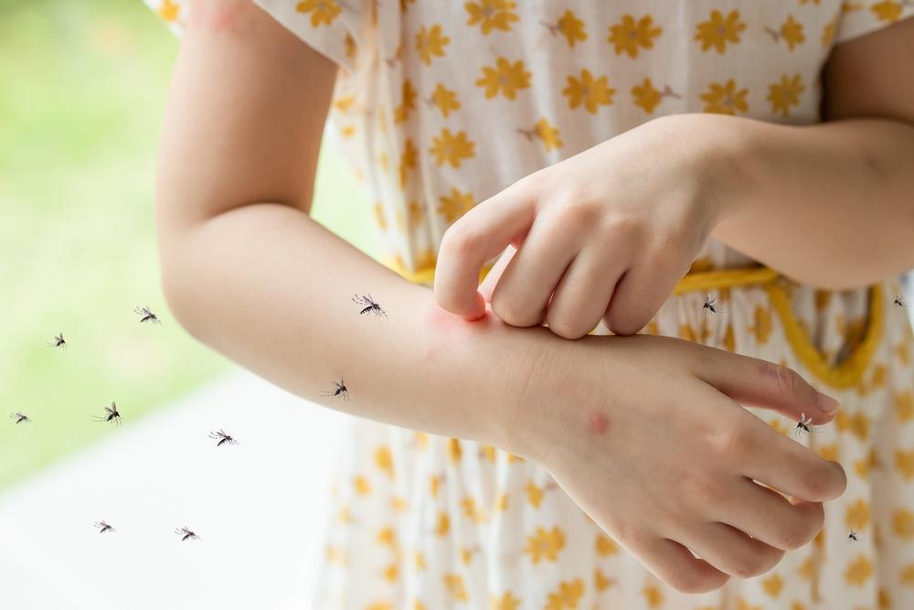 Ghidul complet al înțepăturilor de insecte. Cum să recunoști semnele lăsate de căpușe, ploșnițe, albine sau păianjeni