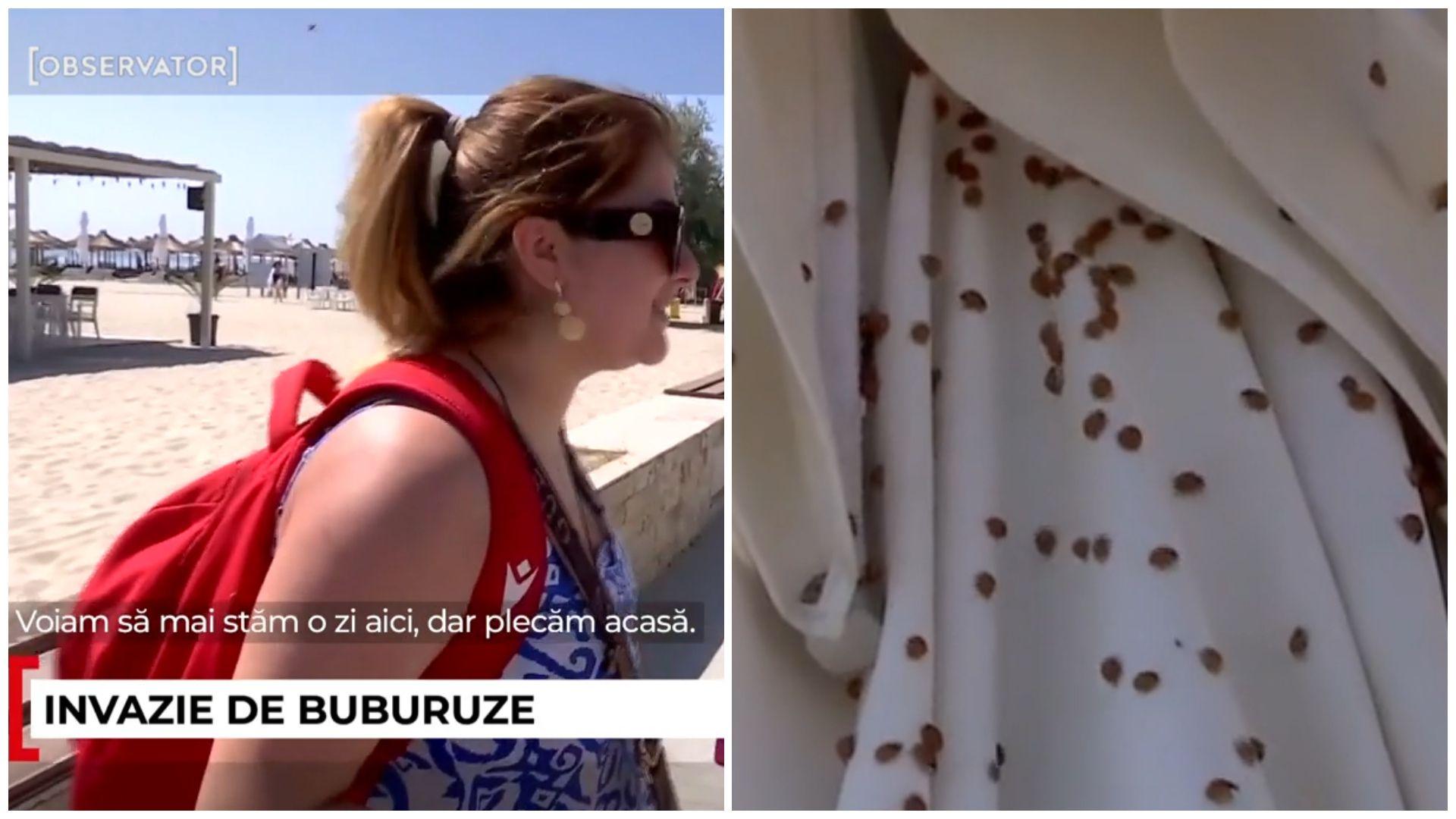 O turistă care părăsește plaja din cauza invaziei de buburuze și o umbrelă plină de insecte