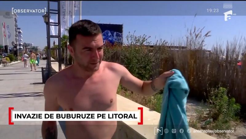 Cum se explică invazia buburuzelor de pe litoral. Turiștii pleacă revoltați de pe plajă