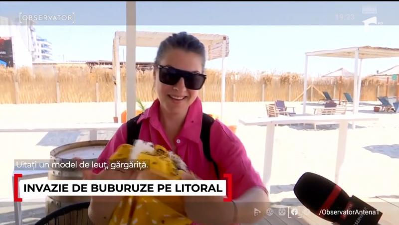 Cum se explică invazia buburuzelor de pe litoral. Turiștii pleacă revoltați de pe plajă