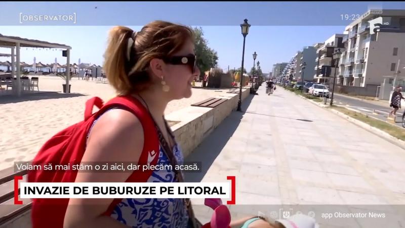 Cum se explică invazia buburuzelor de pe litoral. Turiștii pleacă revoltați de pe plajă