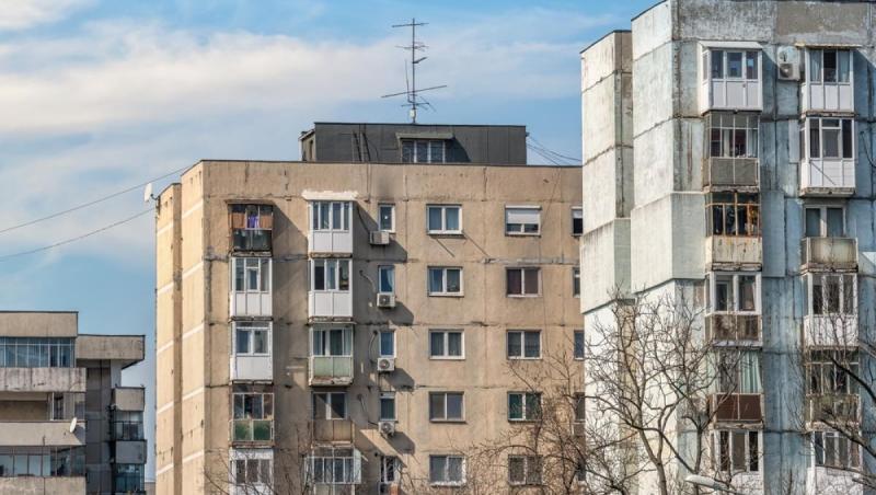 Cum a reușit o pisică să îi salveze viața stăpânei sale în ultima clipă. Poliția, pompierii și SMURD-ul au ajuns de urgență